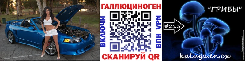 Купить Кириллов Галлюциногенные грибы Psilocybe